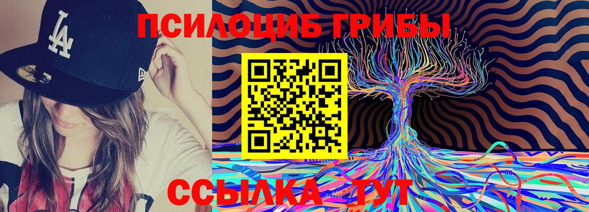 Галлюциногенные грибы Psilocybe  Галлюциногенные грибы Psilocybine cubensis  Старая Купавна  Вход с VPN 
